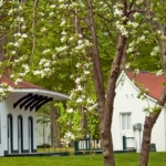 Museum Cottage Open